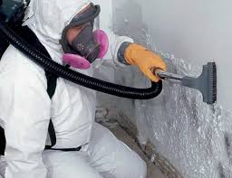 Best HVAC Mold Inspection and Cleaning in Plumas Lake, CA